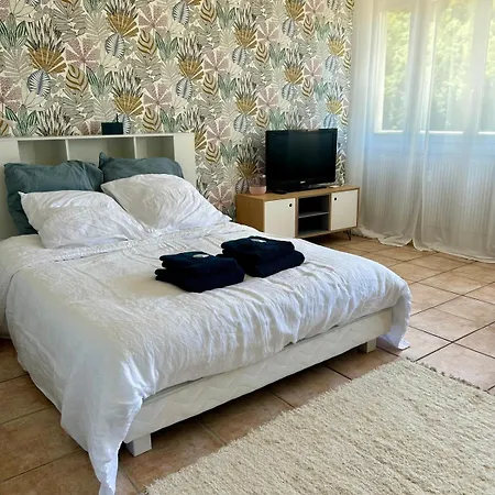 Cosy De 30 M2 Au Coeur Des Thermes Appartement